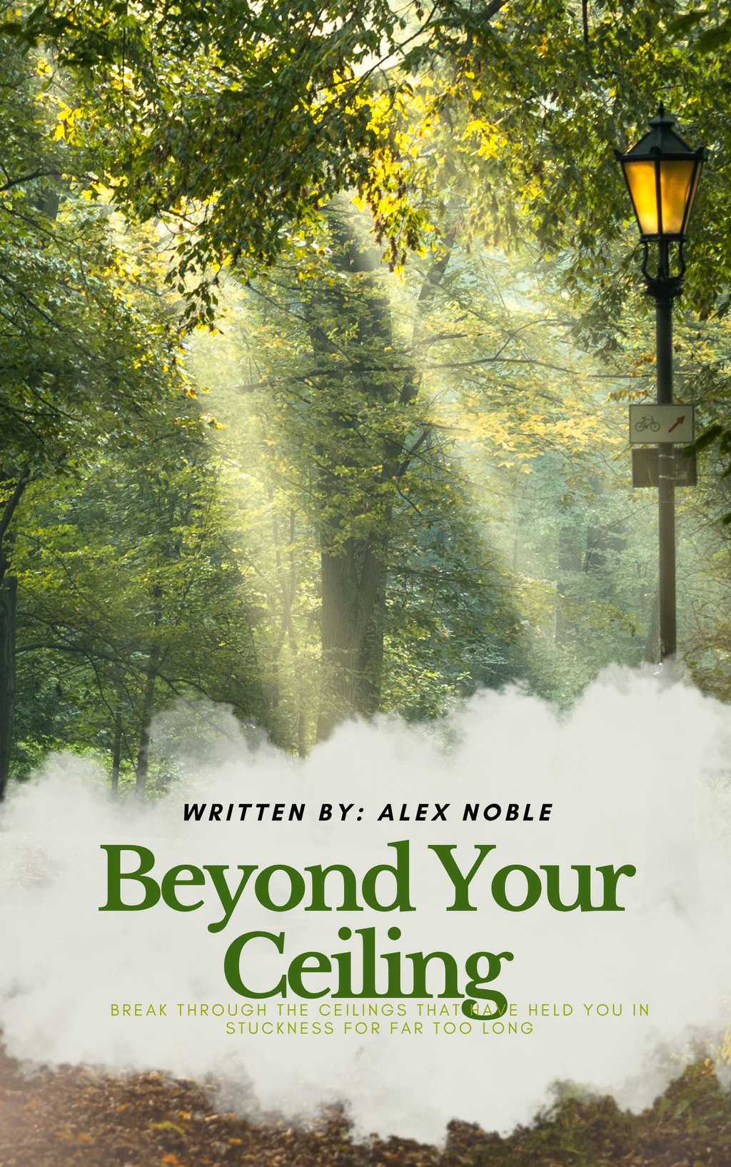 Beyond Your Ceiling book cover
