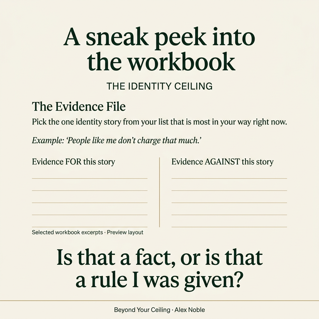 Sneak peek into the Beyond Your Ceiling workbook: The Evidence File exercise, with evidence for and against an identity story. Selected excerpts in a preview layout.