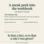 Sneak peek into the Beyond Your Ceiling workbook: The Evidence File exercise, with evidence for and against an identity story. Selected excerpts in a preview layout.